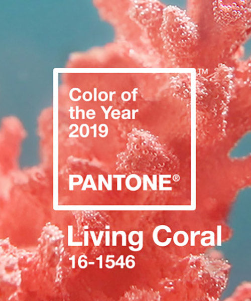 Living Coral:  The Color of 2019 and What You Need to Know